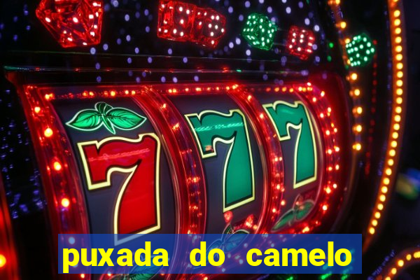 puxada do camelo jogo do bicho